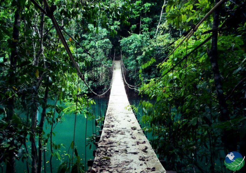 bridge over the river