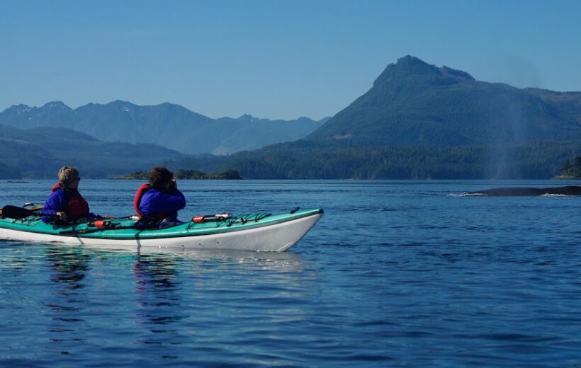 Orca Camp Kayaking Trip