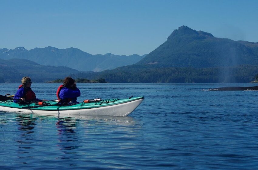 Kayak on calm water near whale.