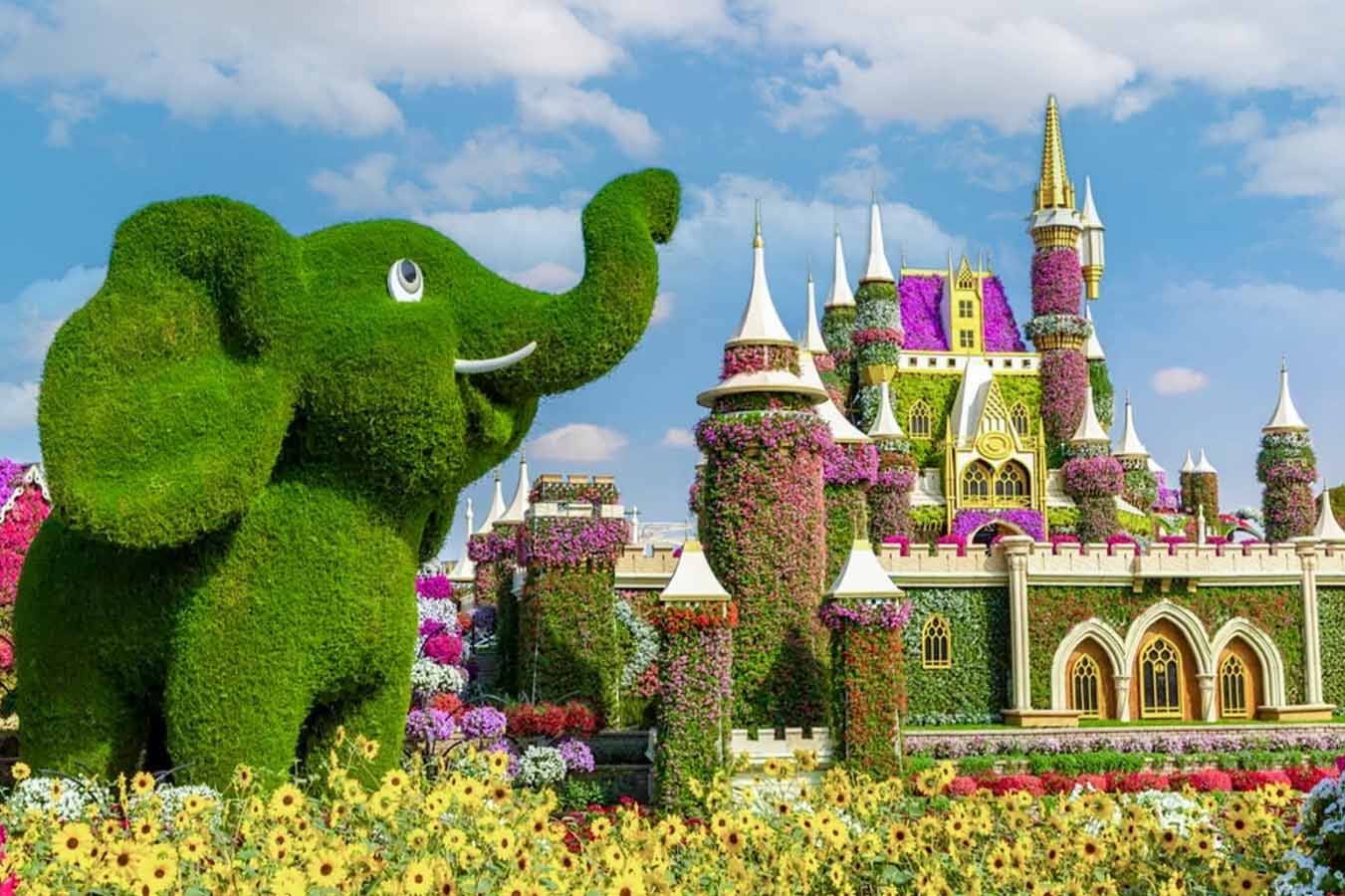 Beautifully designed garden with colorful flowers